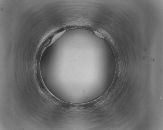 X0000080770680200701021122