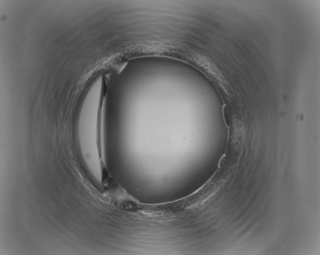 X0000080770681200701021122