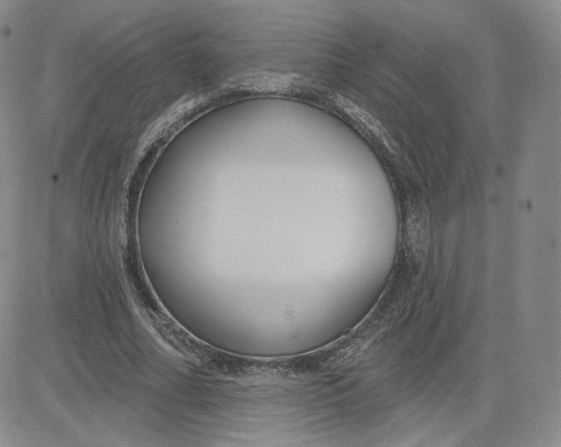 X0000080770682200701021122