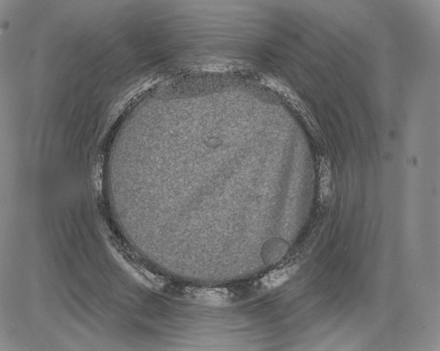 X0000080770683200701021122