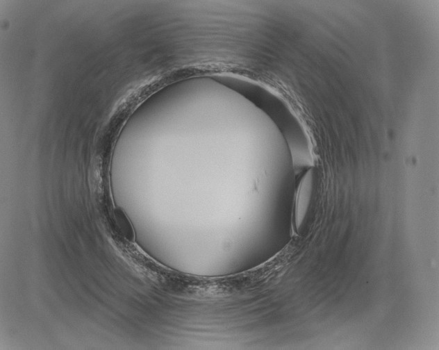 X0000080770688200701021122