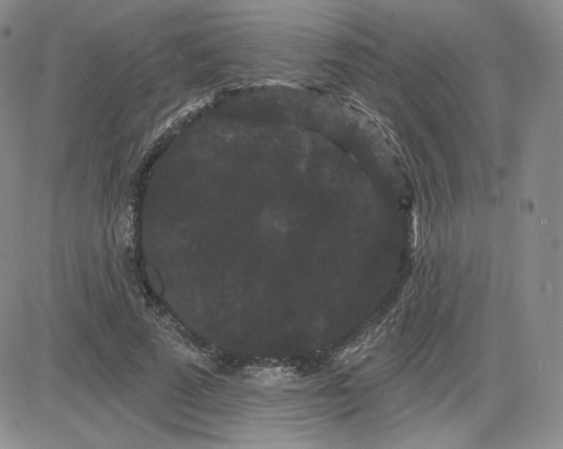 X0000080770689200701021122