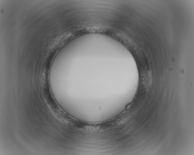 X0000080770690200701021122