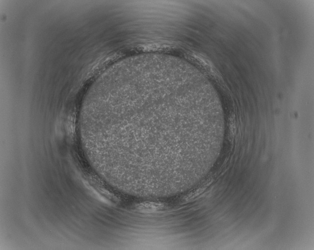 X0000080770691200701021122