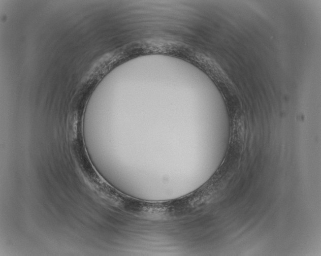 X0000080770694200701021121