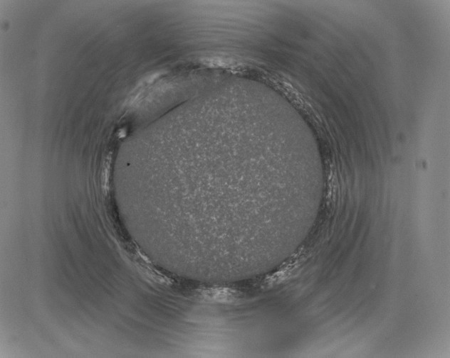 X0000080770695200701021121