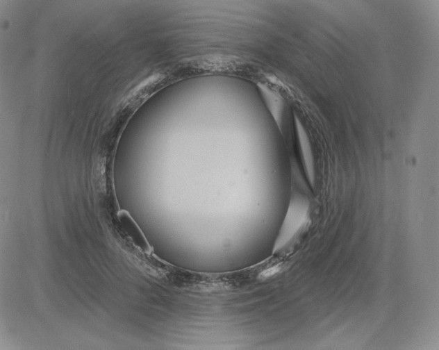 X0000080770696200701021121