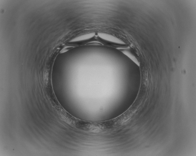 X0000080770697200701021121