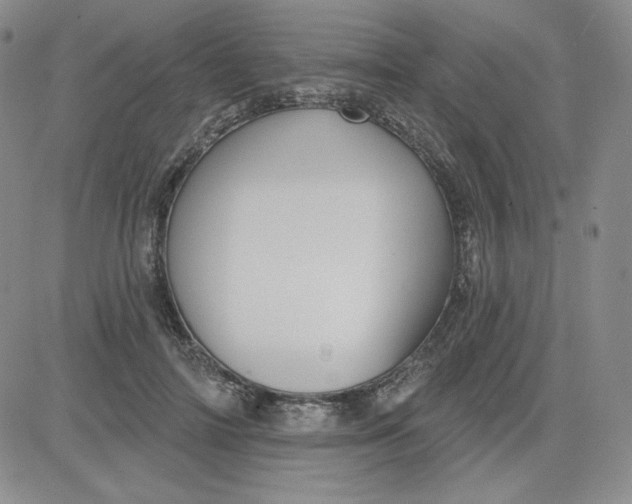 X0000080770698200701021121