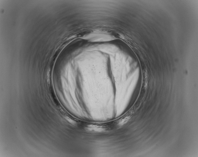 X0000080770699200701021121