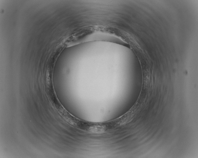 X0000080770700200701021121