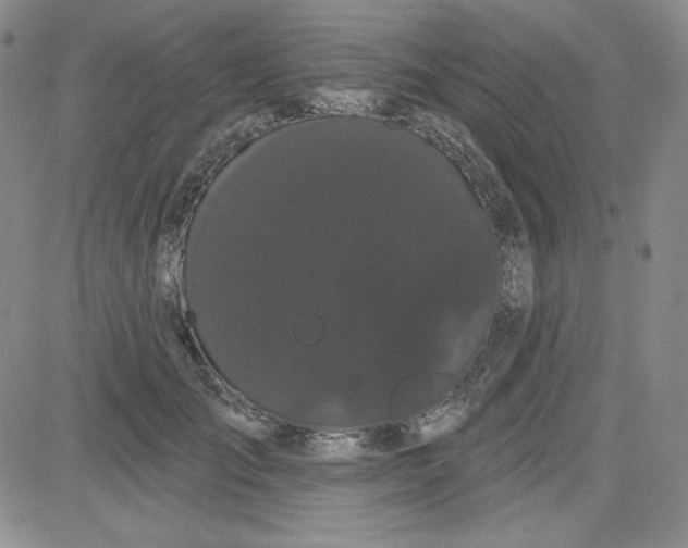 X0000080770701200701021121