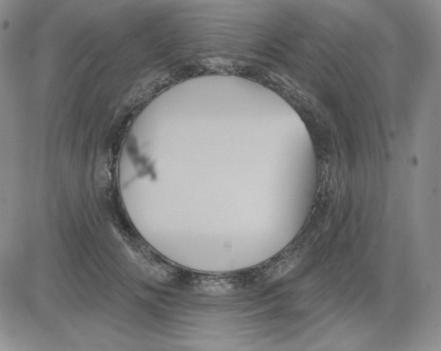 X0000080770702200701021121