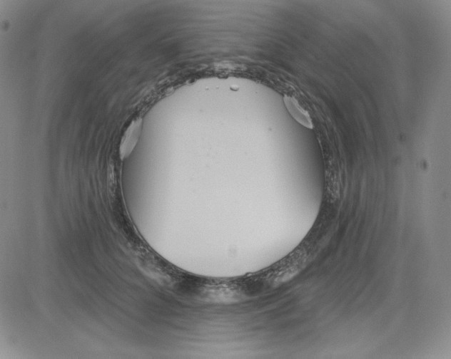 X0000080770704200701021121