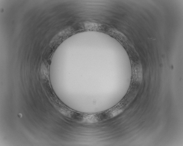 X0000080770705200701021121