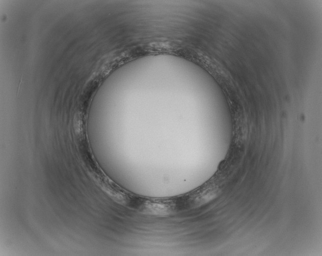 X0000080770706200701021121