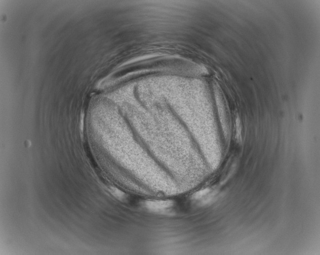 X0000080770707200701021121