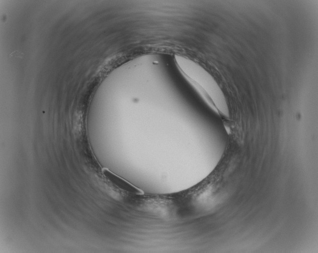 X0000080770708200701021121