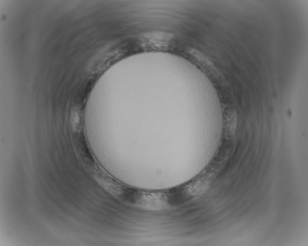 X0000080770709200701021121