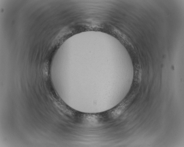 X0000080770710200701021121