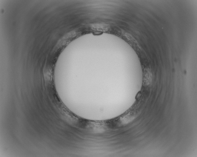 X0000080770713200701021121