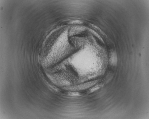 X0000080770715200701021121