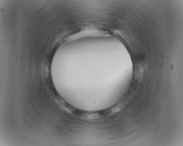 X0000080770716200701021121