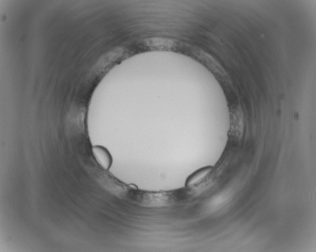 X0000080770717200701021121