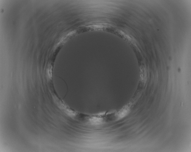 X0000080770718200701021121