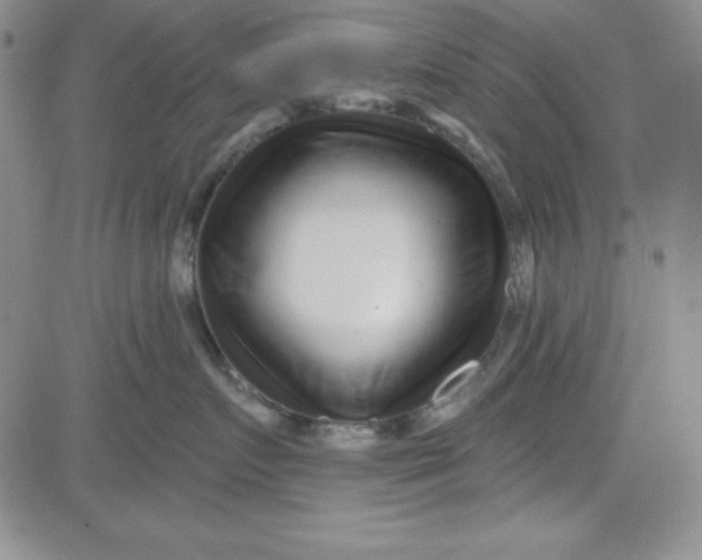 X0000080770719200701021121