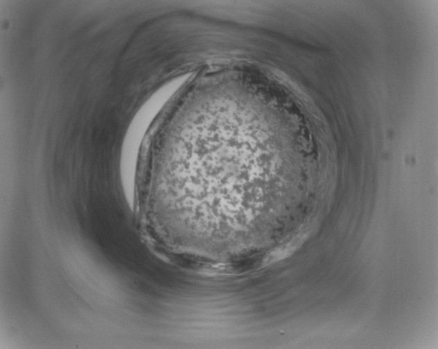 X0000080770720200701021121