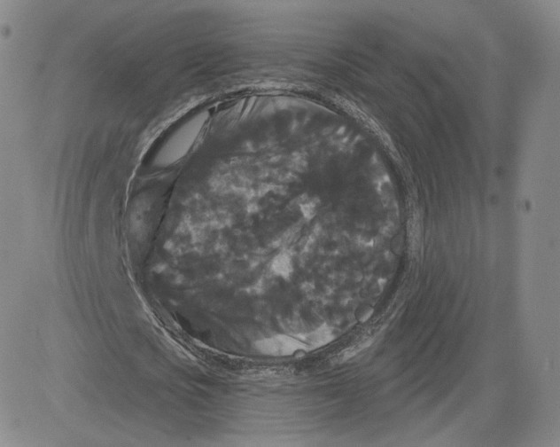 X0000080770721200701021120