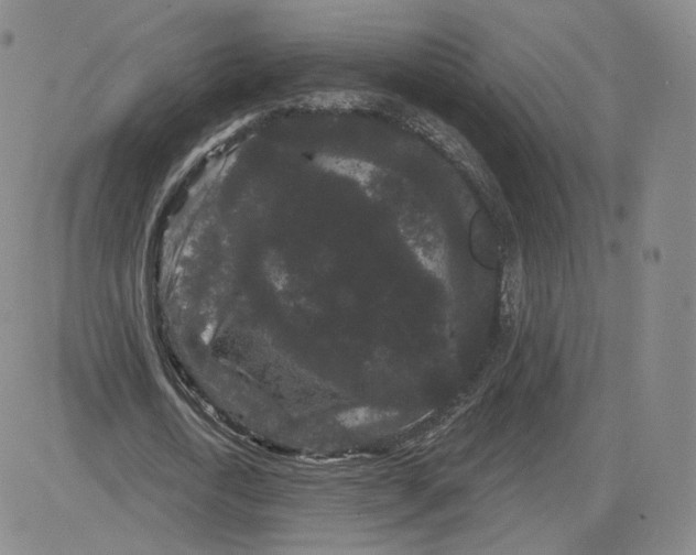 X0000080770722200701021120