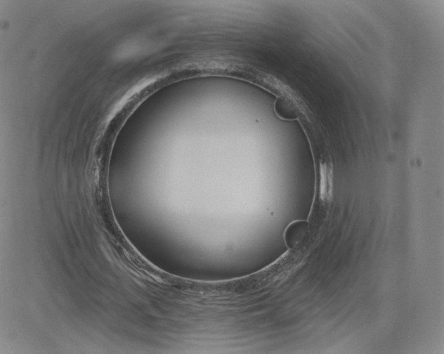 X0000080770723200701021120