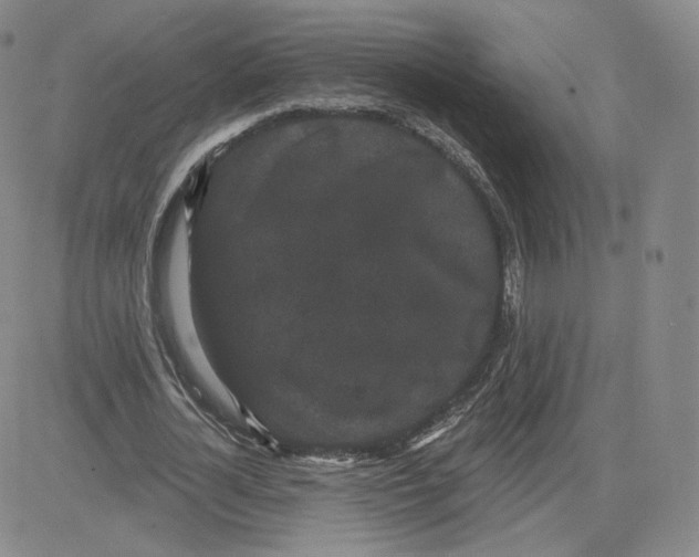 X0000080770724200701021120