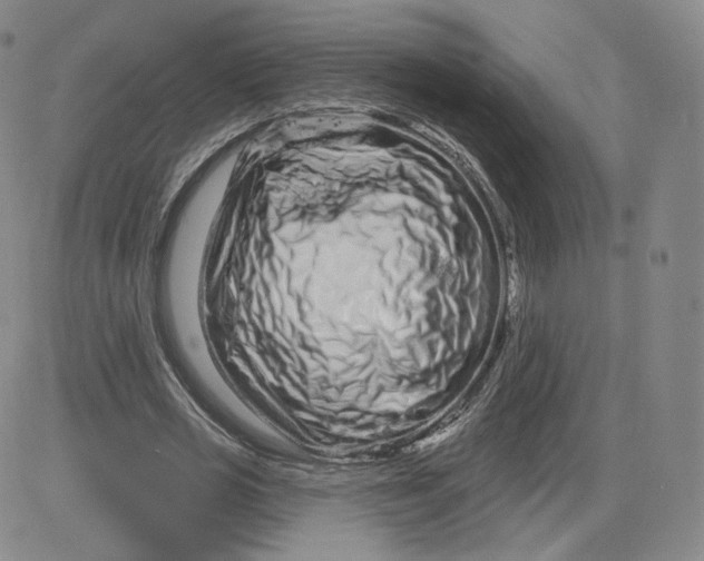 X0000080770725200701021120