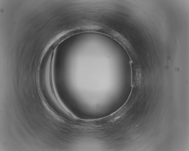 X0000080770726200701021120