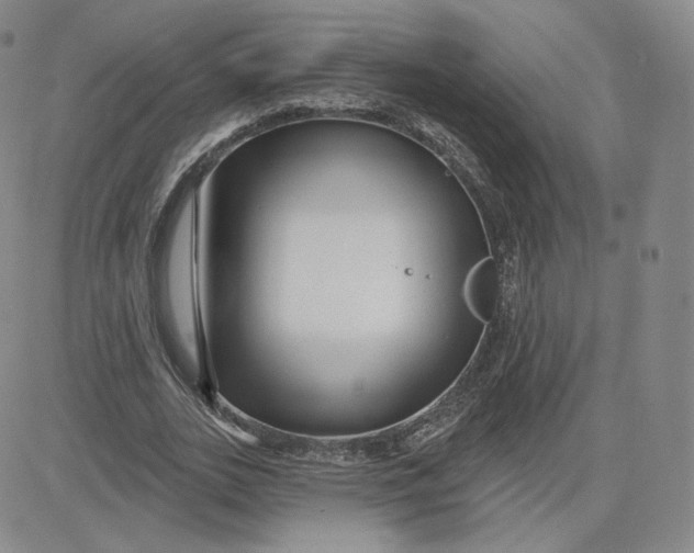 X0000080770727200701021120