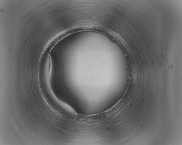 X0000080770728200701021120