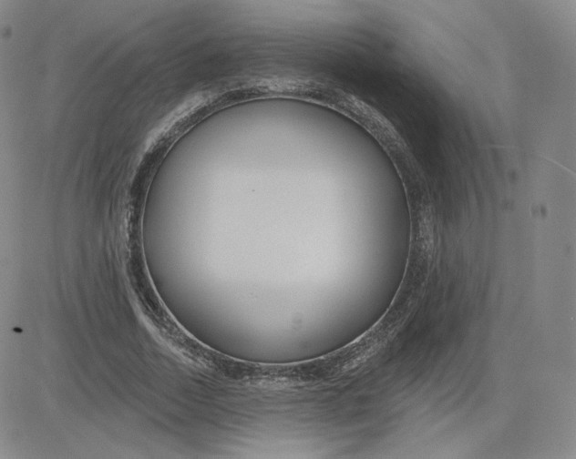 X0000080770730200701021120