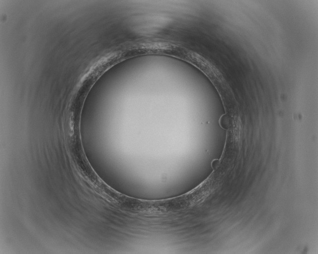 X0000080770731200701021120