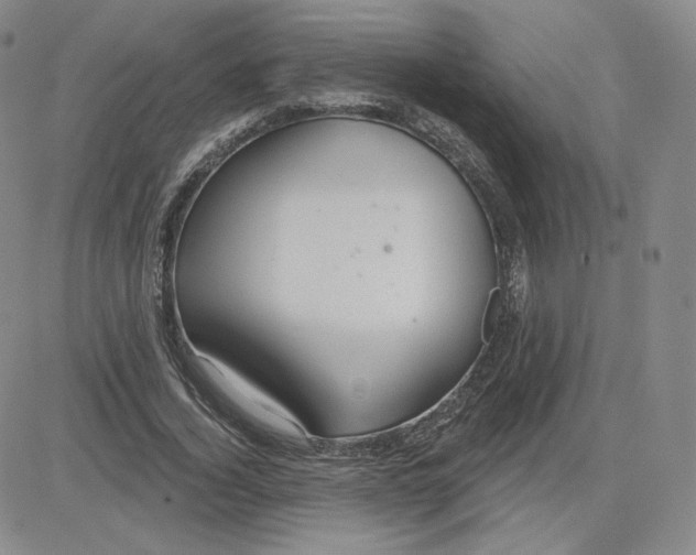 X0000080770732200701021120