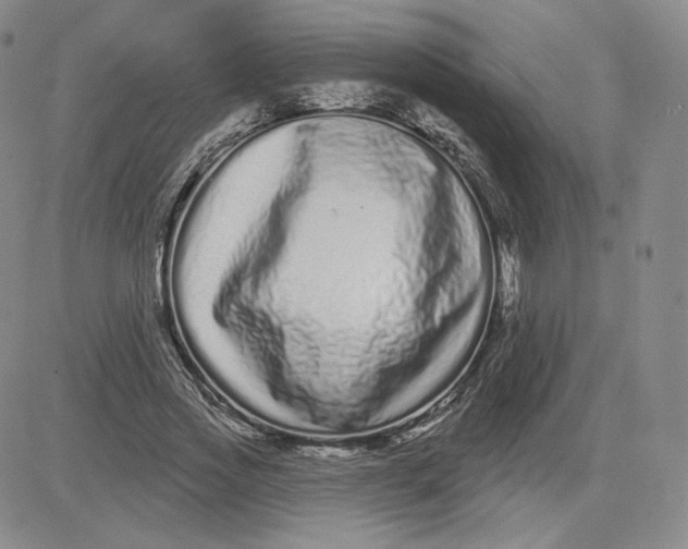 X0000080770733200701021120