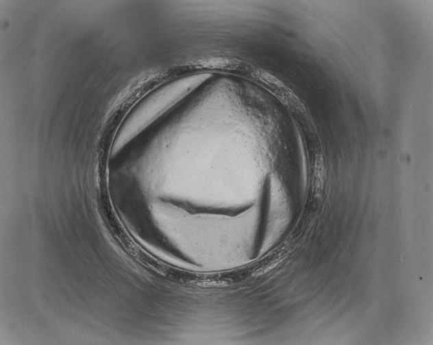 X0000080770734200701021121