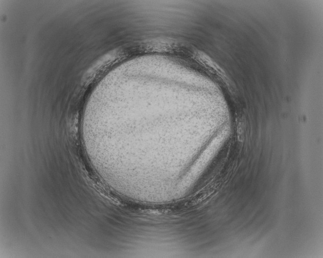 X0000080770737200701021121