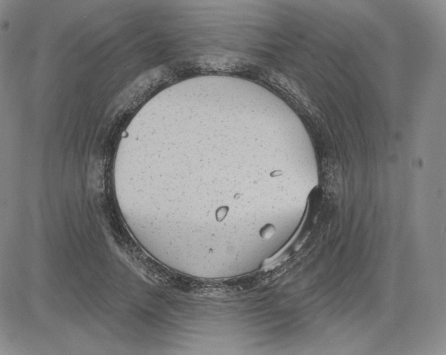 X0000080770738200701021121