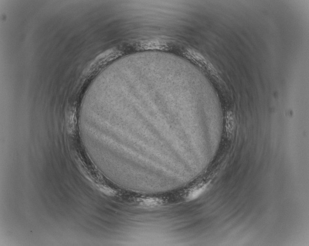 X0000080770741200701021121