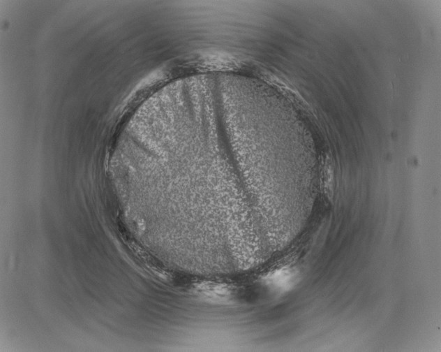 X0000080770742200701021121