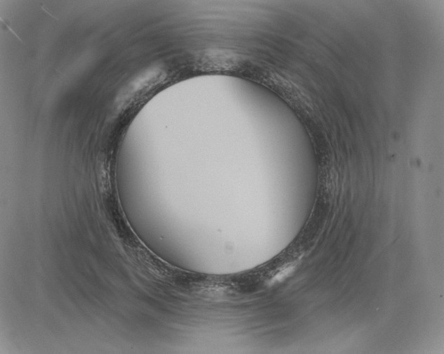 X0000080770743200701021121