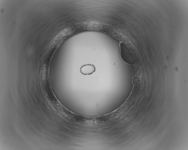 X0000080770744200701021121